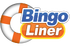 Bingo Liner voucher codes for UK players
